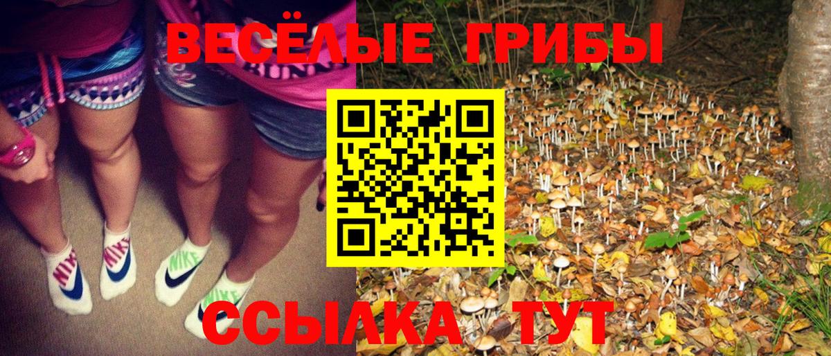 Галлюциногенные грибы мицелий  Вход с VPN  Коломна 