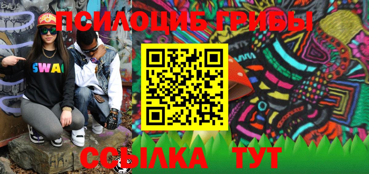 Псилоцибиновые грибы Cubensis Коломна